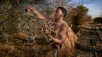 Deception Valley Lodge Deception Valley Lodge: Dornen