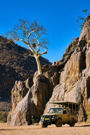 Huab Lodge: Desert Chestnut im Huabvalley
