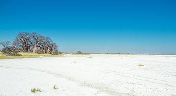 Leroo La Tau Lodge: Nxai Pan National Park - Baines Baobab