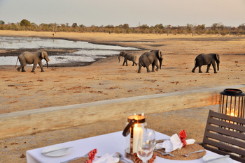 Nogatsaa Pans Chobe Lodge: Elefanten vor der Terrasse