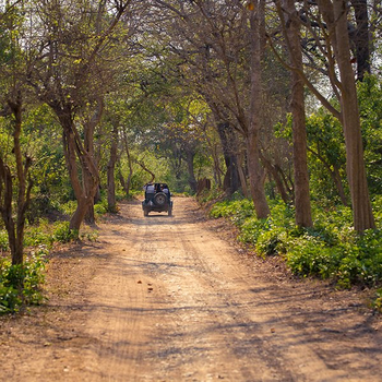 The Wildflower Resort The Wildflower Resort: Game Drive