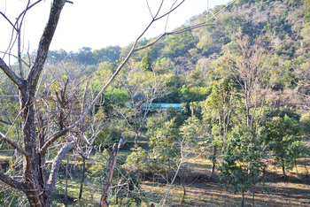 Vanghat: Lage am Waldrand