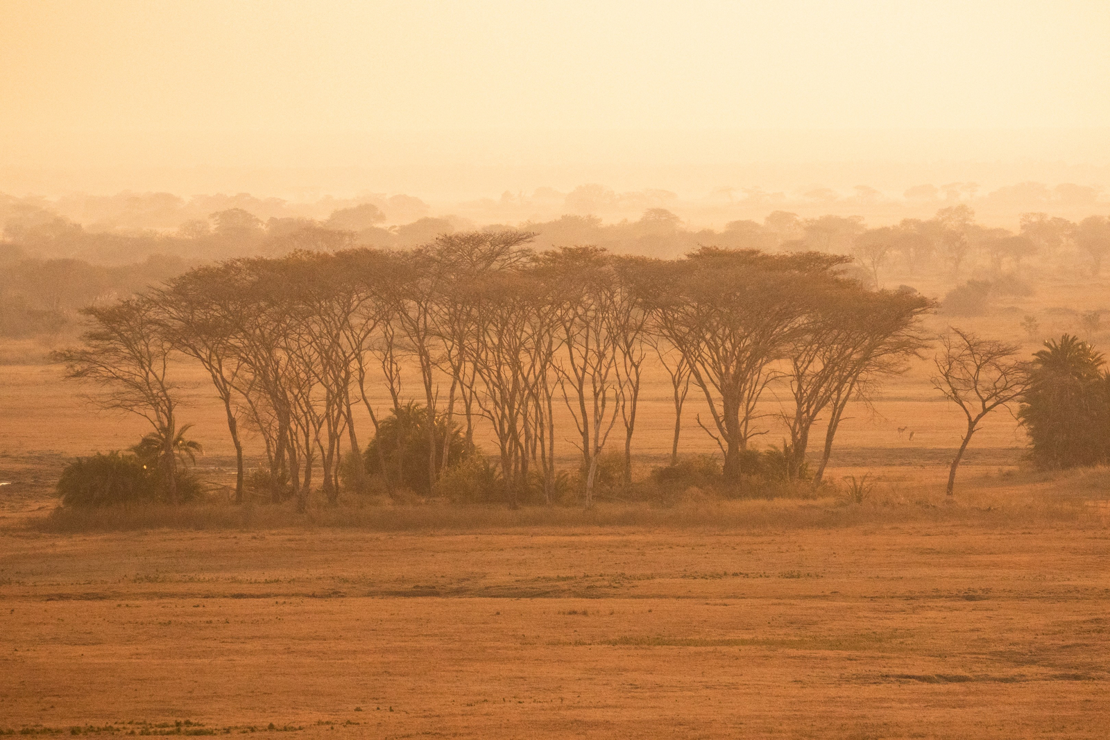 Shumba Camp Shumba Camp