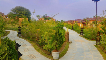 Bamboo Forest Safari Lodge: Wege durchs Gelände