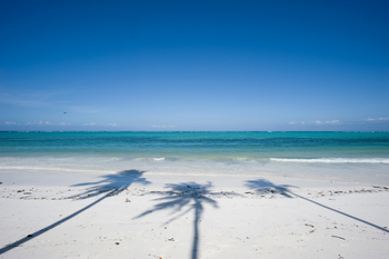 Baraza Resort and Spa: Bwejuu Strand