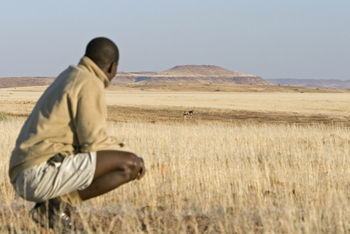 Desert Rhino Camp Desert Rhino Camp: Geführte Wanderungen