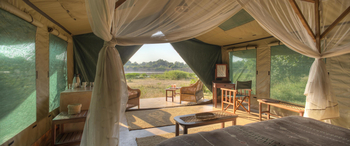 Flatdogs Camp: Luxury Safari Tent