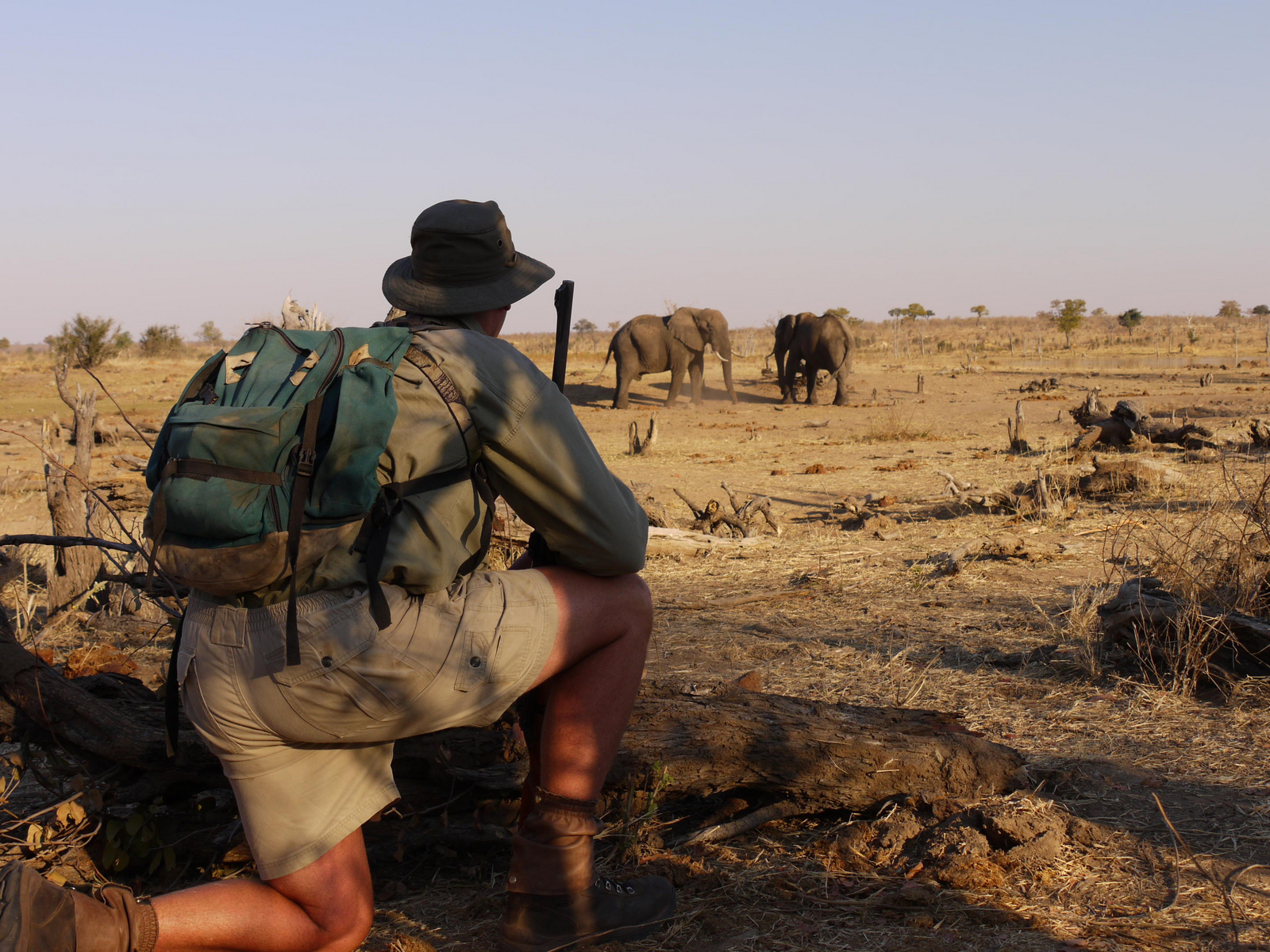 Hwange Bush Camp Hwange Bush Camp: Elefantenbeobachtung