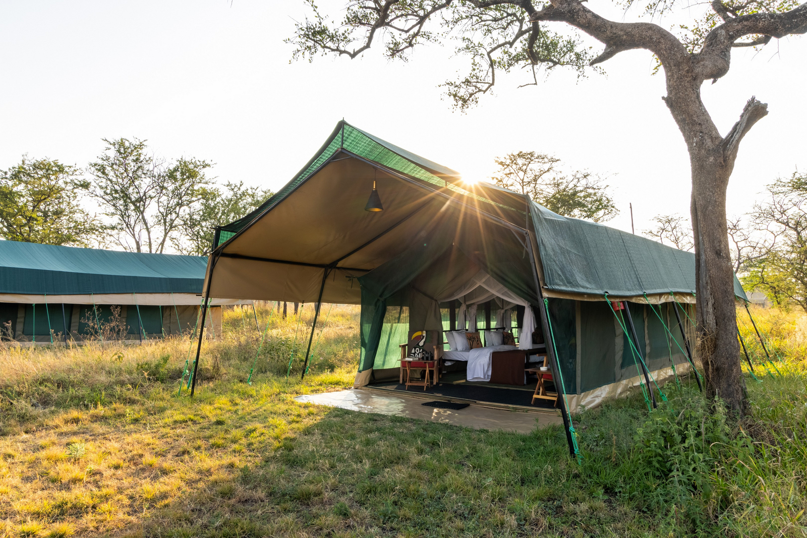 Little Moru Camp Little Moru Camp: Zelt mit Vordach