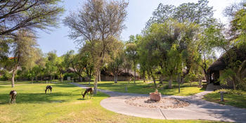 Mokuti Etosha Lodge: Garten
