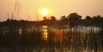 Nxabega Okavango Tented Camp: Sonnenuntergang