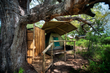 Oddballs' Camp: Domzelt mit Schattendach