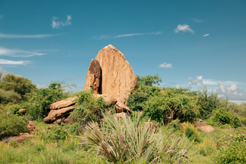 Rhino River Camp: Felsen