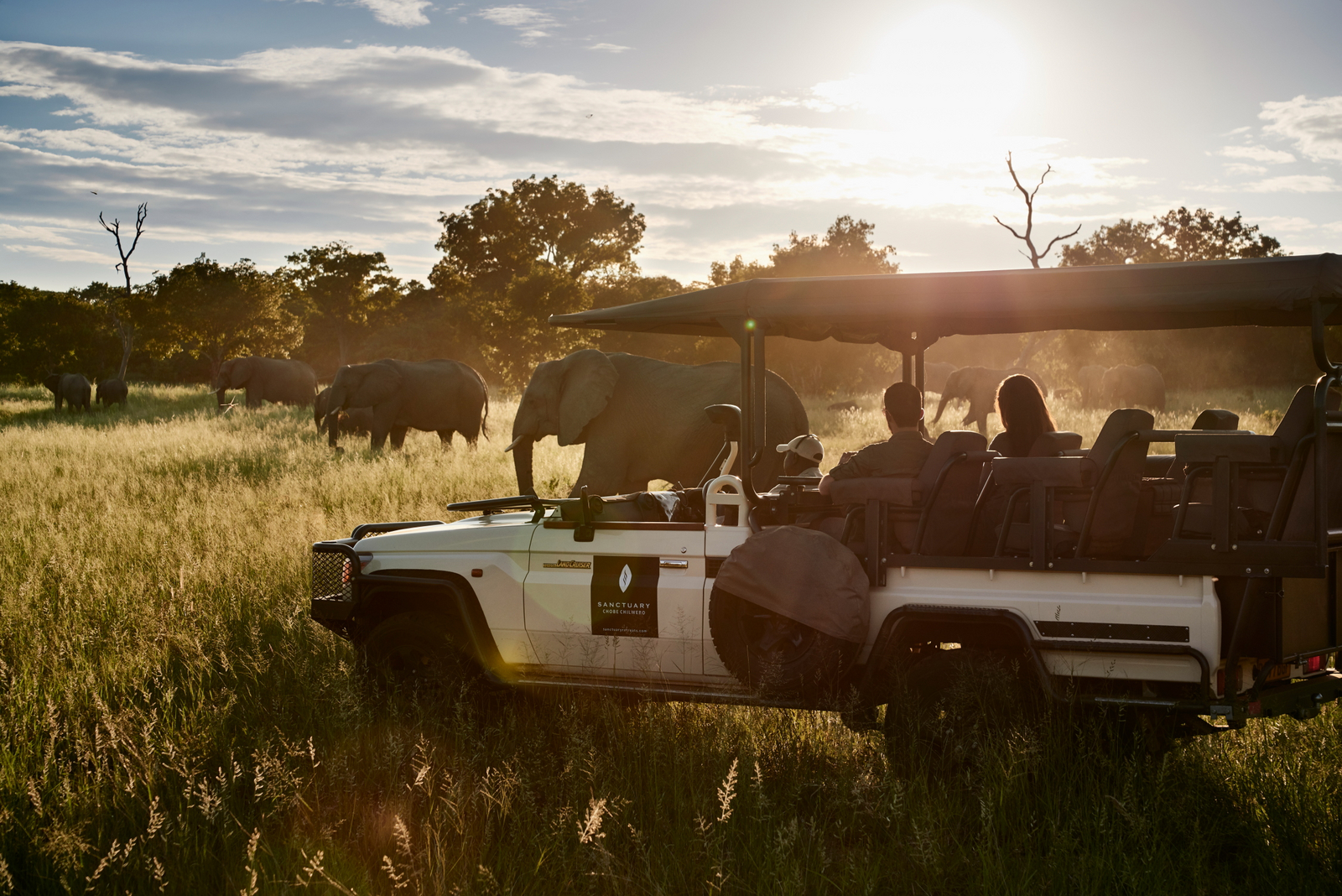 Sanctuary Chobe Chilwero Sanctuary Chobe Chilwero: Game Drive