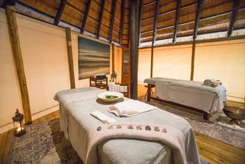 Selinda Camp: Wellness