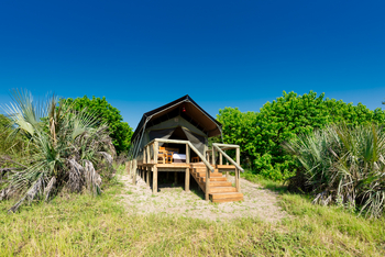 Semowi Nature Camp: Kwena Tent