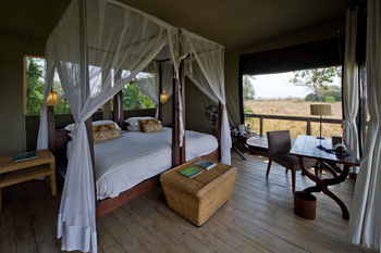 Shumba Camp Shumba Camp: Bett und Schreibtisch