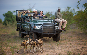 Tanda Tula Safari Camp: Game Drive