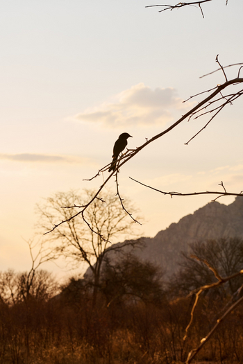 Tsodilo Hills Sleep-out: Landschaft