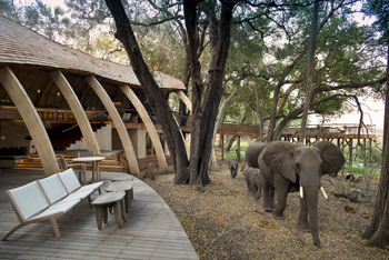 andBeyond Sandibe Okavango Safari Lodge: Elefanten vor dem Camp
