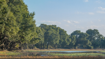Big Lagoon Camp: Gefüllte Lagune