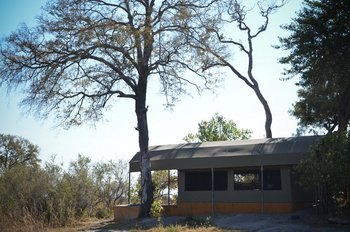 Jackalberry Camp: Gästezelt