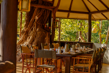 Kitich Forest Camp: Esstisch