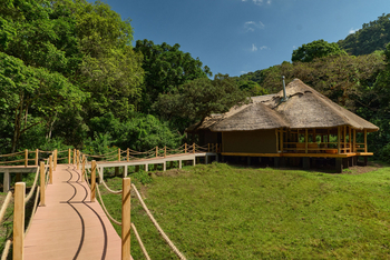 Koroi Forest Camp: Wege im Camp