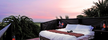 Mukambi Busanga Plains Camp: Star Bed