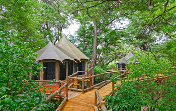 Nambwa Tented Lodge: Zugang zu einem Zelt