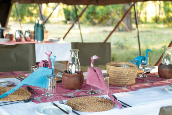 Nkonzi Bush Camp: Esstisch