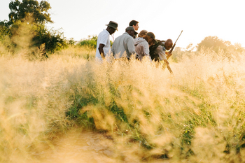 Tanda Tula Safari Camp: Walking Safari