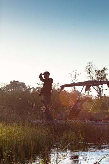 Belmond Eagle Island Lodge: Bootssafari