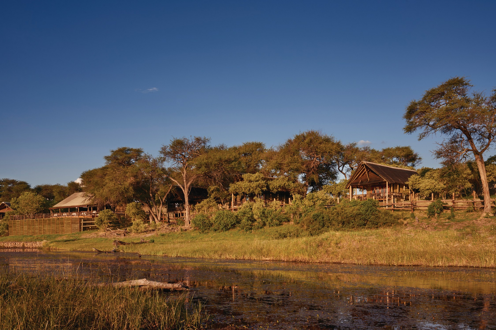 Belmond Savute Elephant Lodge Belmond Savute Elephant Lodge: Bäume im Campareal