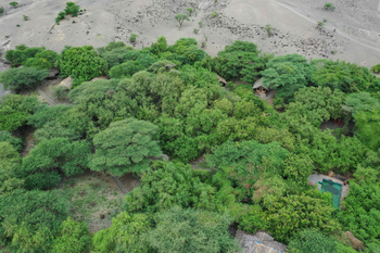 Lake Natron Tented Camp: Rechteckiger Pool im Grünen mit Strohdächern