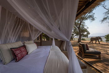 Little Ruckomechi Camp: Bett mit Ausblick