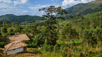 Mahogany Springs Safari Lodge: Luftbild