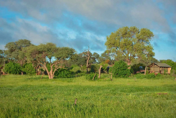 Mogogelo Camp Mogogelo Camp: Gästezelt - Außenansicht