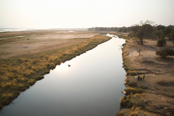 Molori Mashuma: Sambesi-Seitenarm