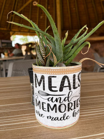 Ondjamba Hills: Wüstenpflanzen