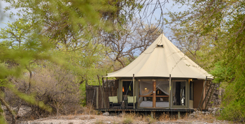 Onguma Tented Camp: Gästezelte