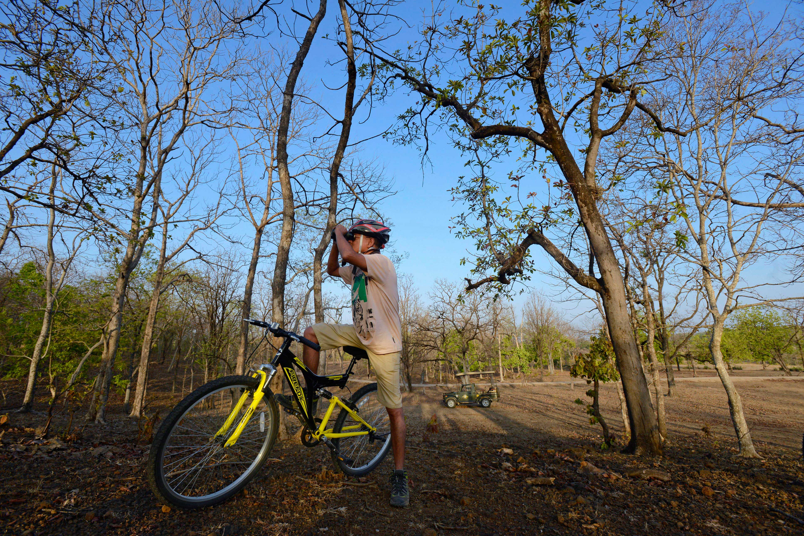 Pench Tree Lodge Pench Tree Lodge: Beobachtungsstopp