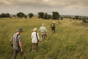 Sayari Camp: Bush Walk