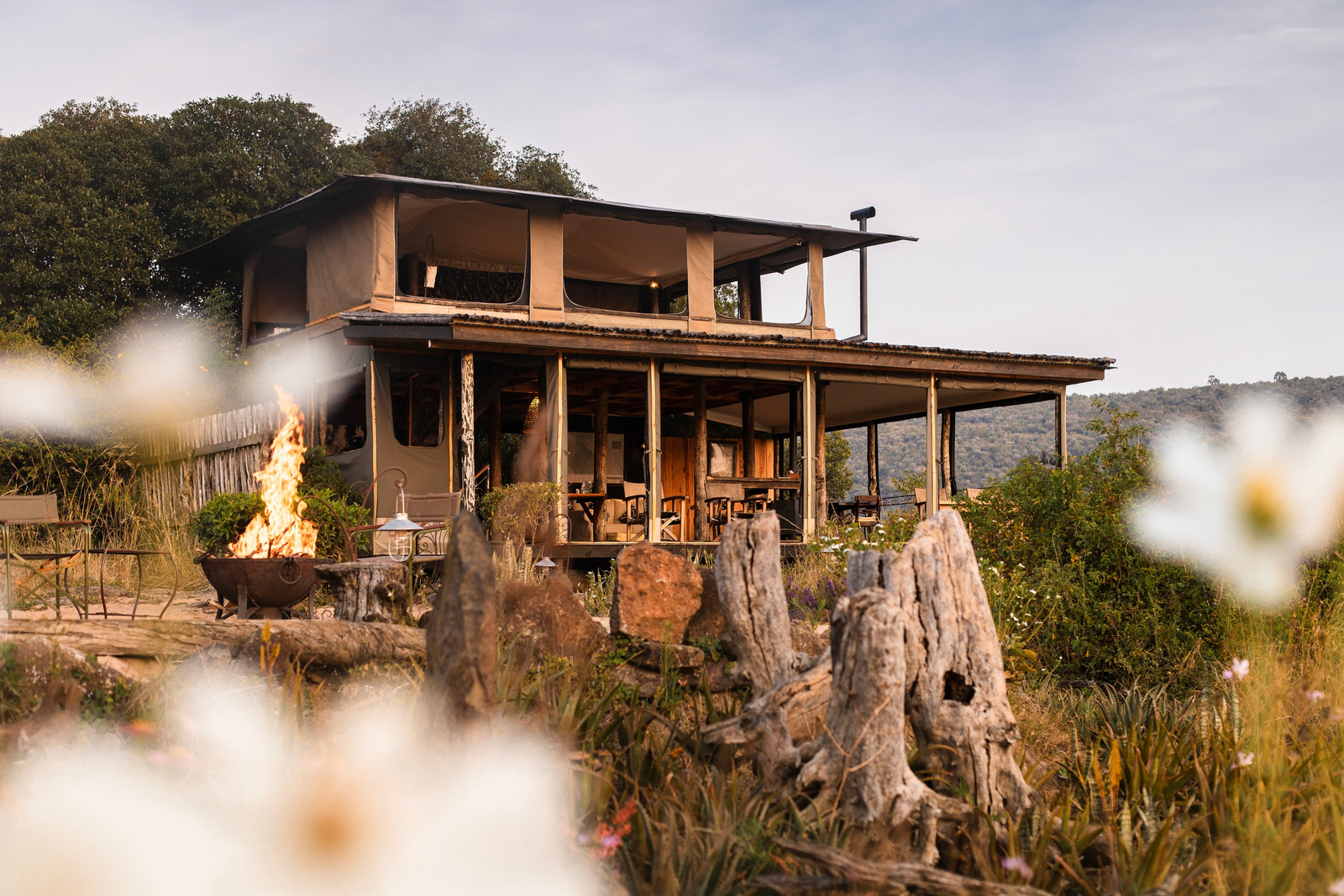 Serians Kimya Kimya Serians Kimya Kimya: Hauptzelt