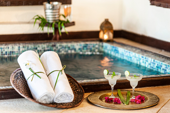 The Palms: Plunge Pool