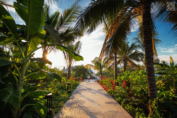 Zuri Zanzibar: Hauptweg