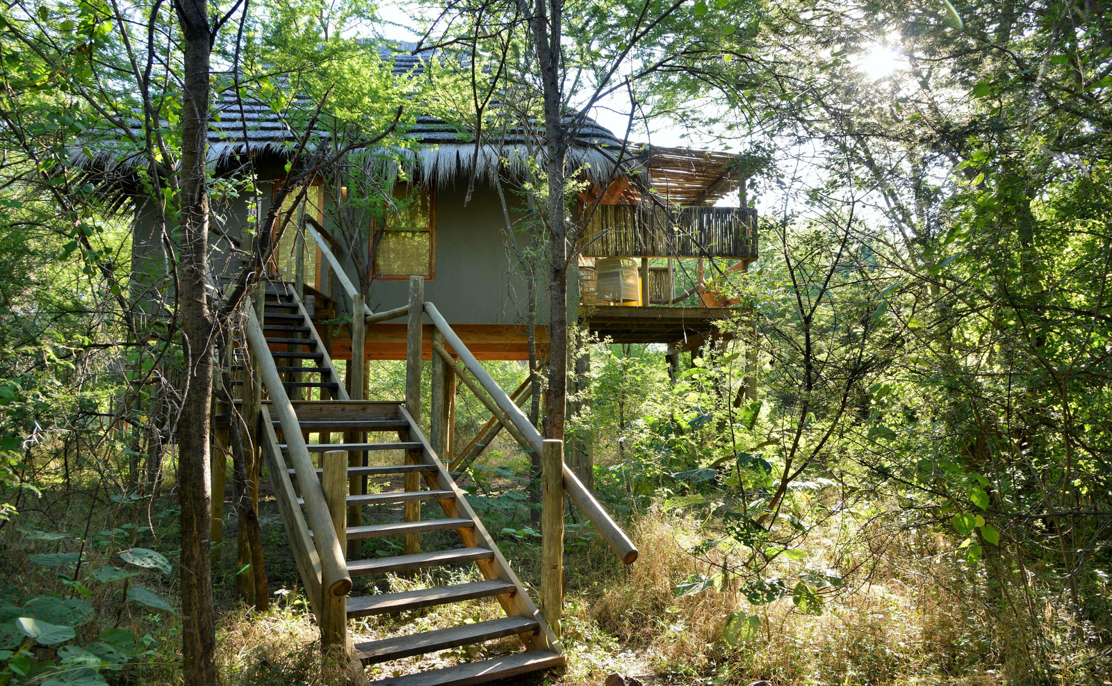 Chobe Bakwena Lodge Chobe Bakwena Lodge: Treetop Chalet
