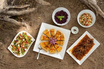 Ingwe Pan Camp: Essen und Trinken