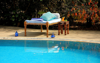 Jim's Jungle Retreat: Swimming Pool