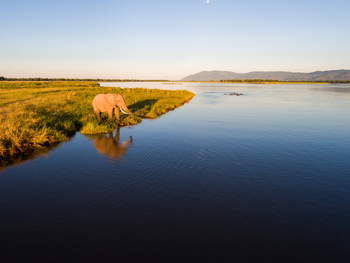 John's Camp John's Camp: Elefantenreflektion